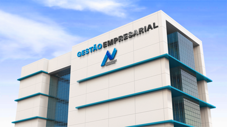 Network Consultores